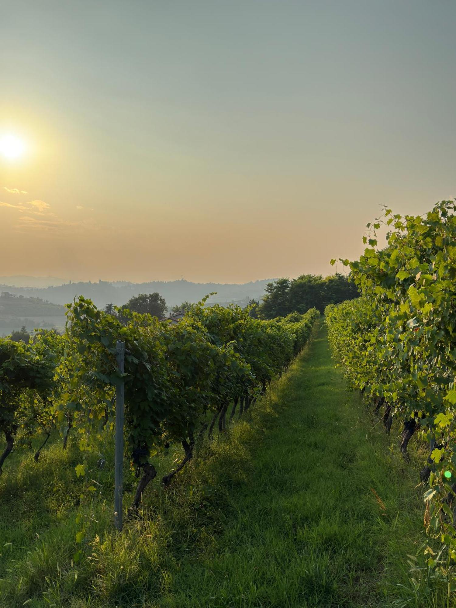 Relais Conac 1888 - Luxury B&B - Adults Only Castelnuovo Don Bosco Eksteriør billede